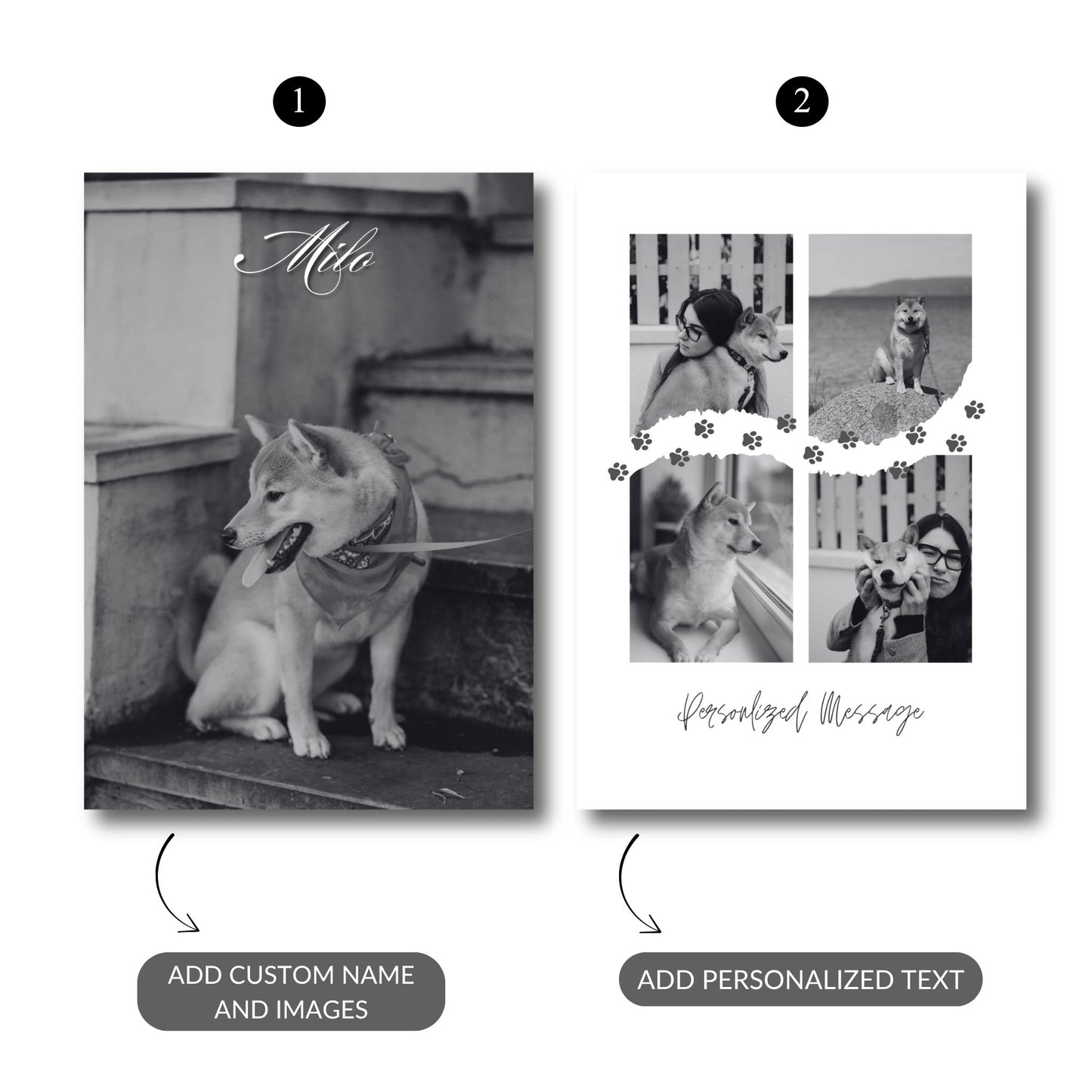 Timeless Pet Memories – Custom Metal Print Bundle (Set of 2)