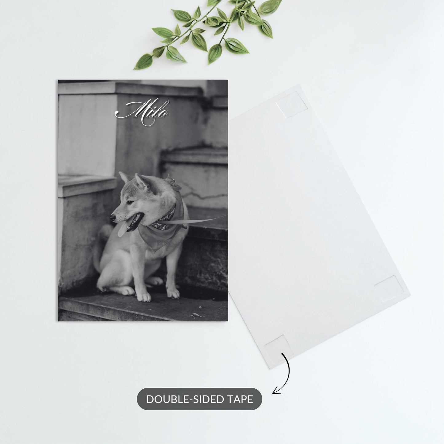 Cherished Companion – Custom Metal Print