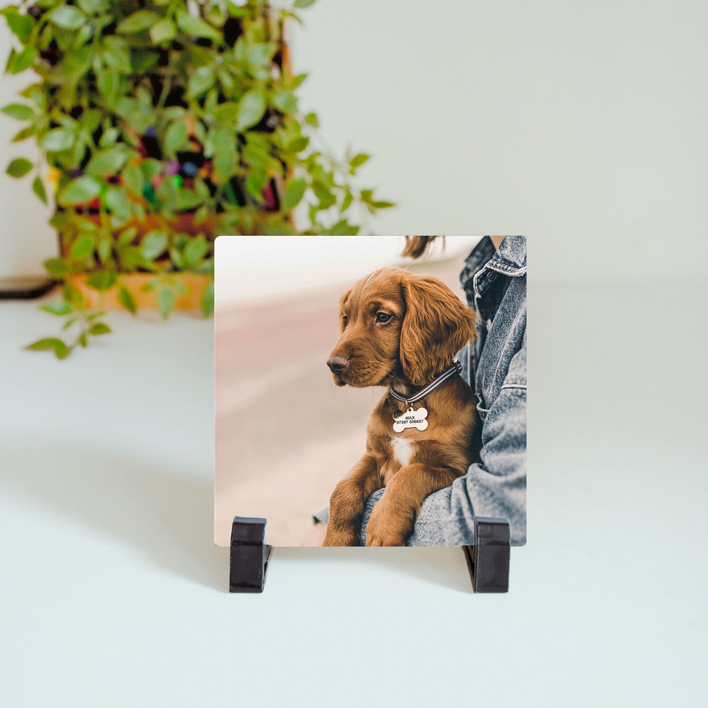Custom Photo Ceramic Tile
