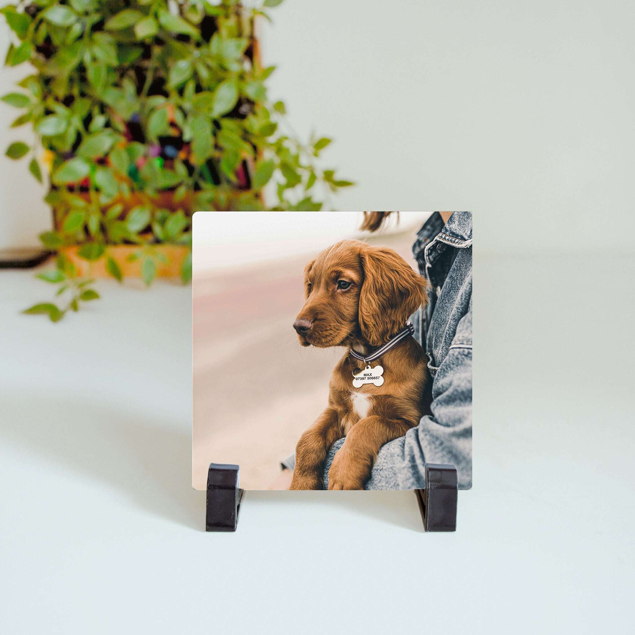 Custom Photo Ceramic Tile