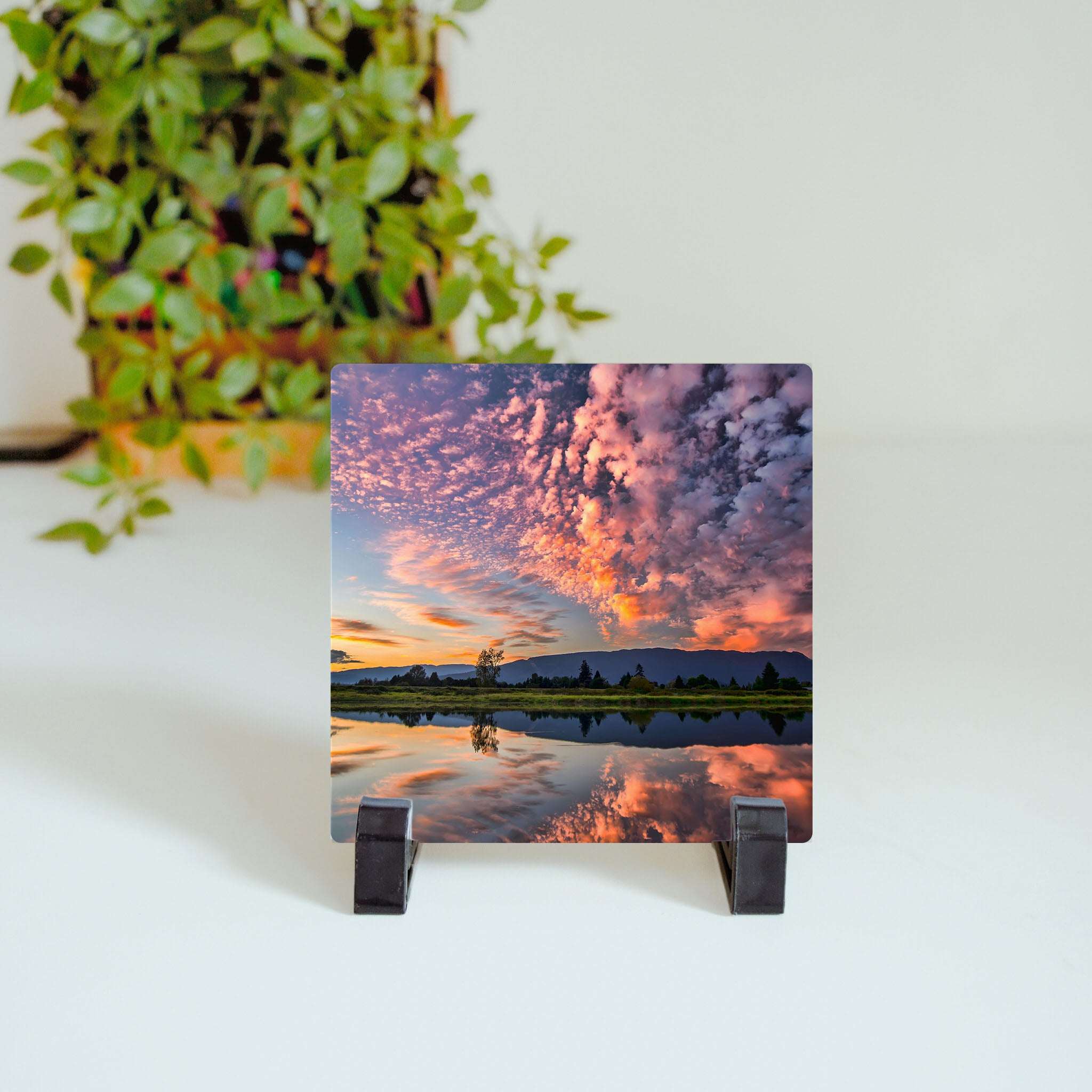 Custom Photo Ceramic Tile