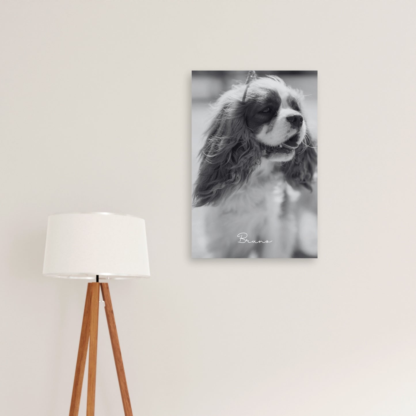 Timeless Spirit – Custom Metal Print