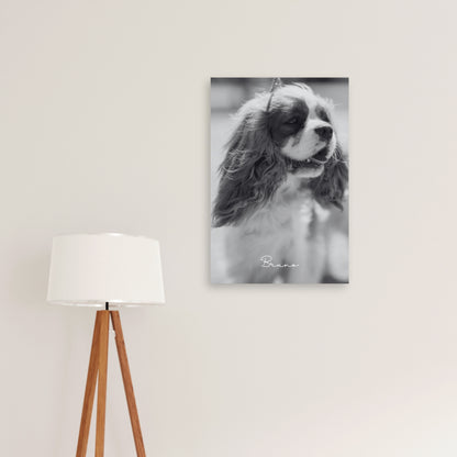 Timeless Spirit – Custom Metal Print