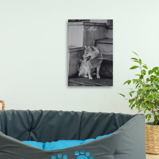 Cherished Companion – Custom Metal Print