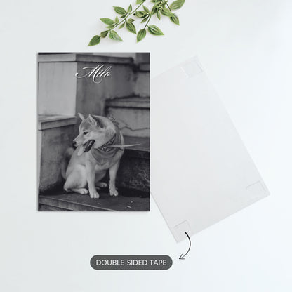 Cherished Companion – Custom Metal Print